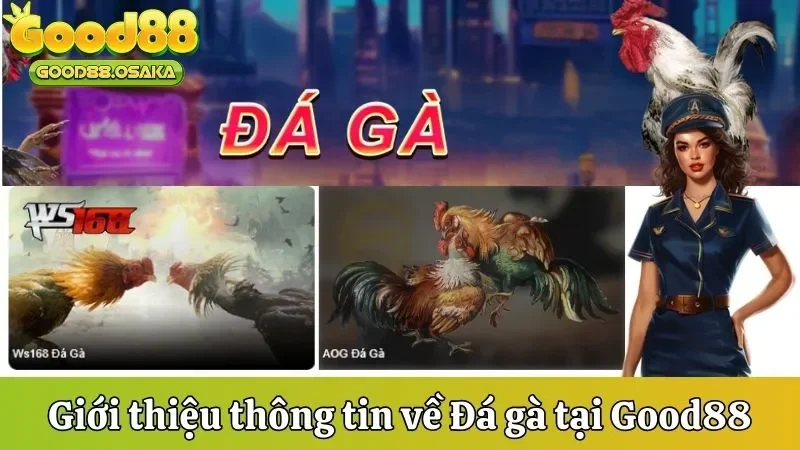 gioi-thieu-sanh-cuoc-da-ga-trong-nha-cai-good88