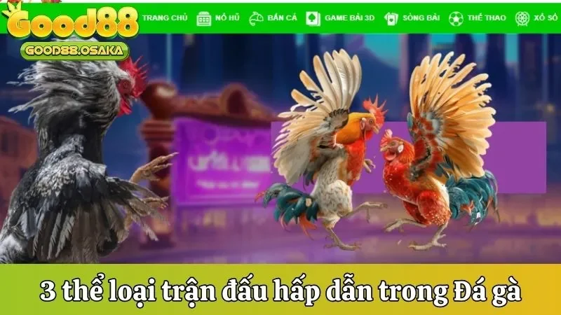 the-loai-thi-dau-pho-bien-hap-dan-tai-da-ga-good88